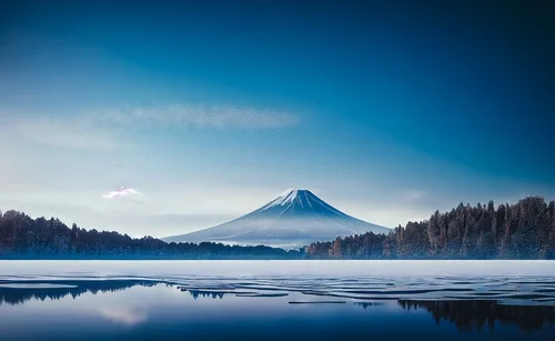 2019年　新年のご挨拶